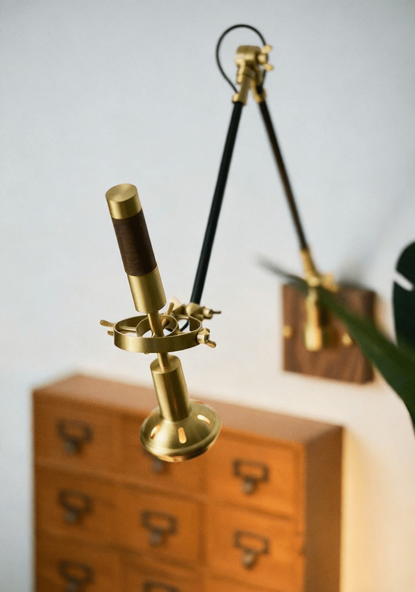 Thalia Adjustable Wood Wall Lamp