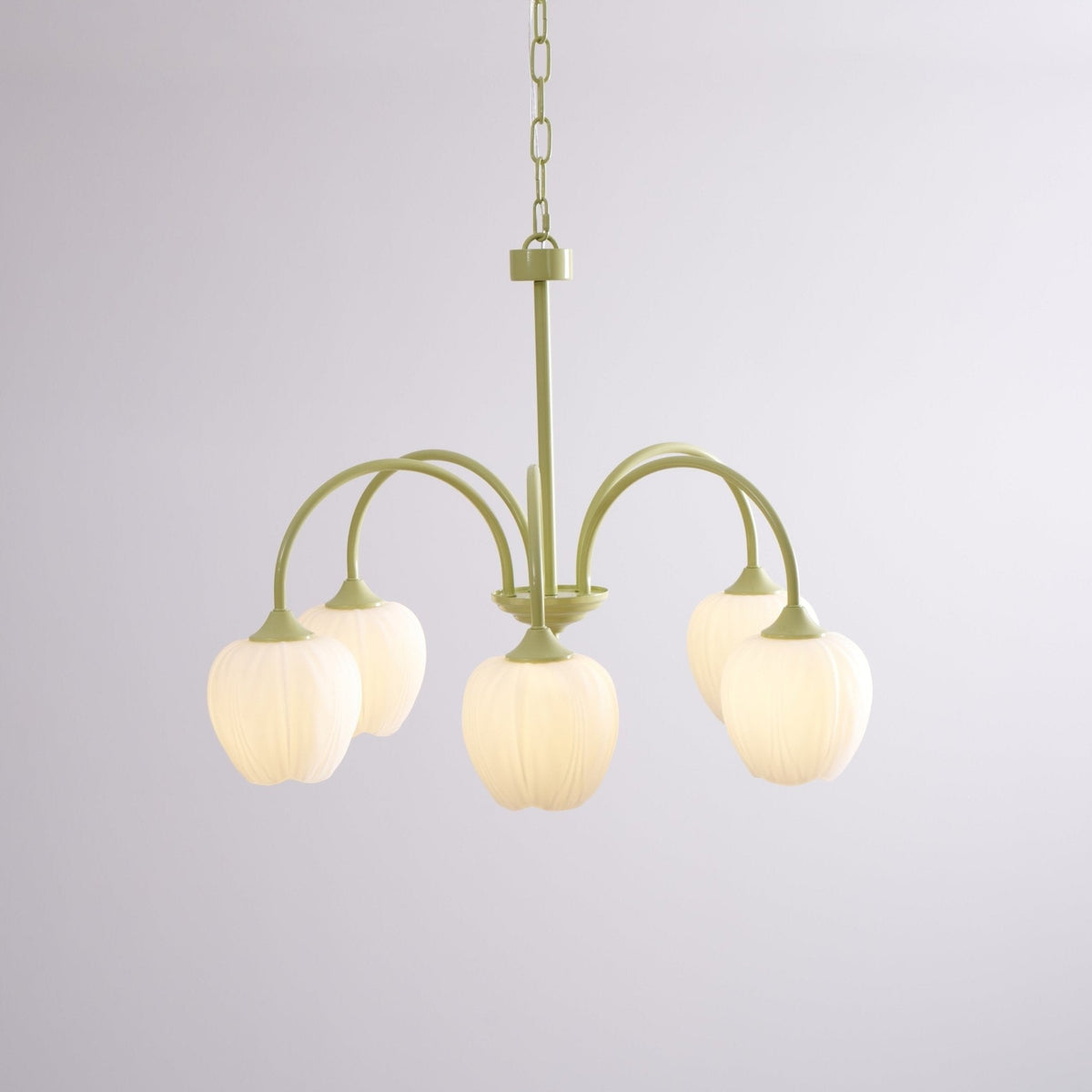 Tulip Matcha Glass Chandelier