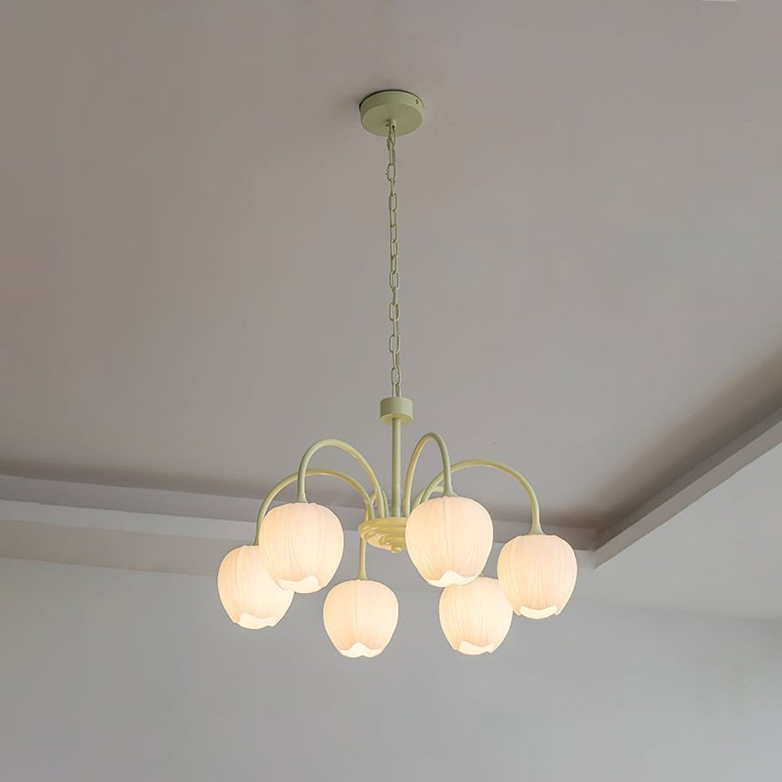 Tulip Matcha Glass Chandelier