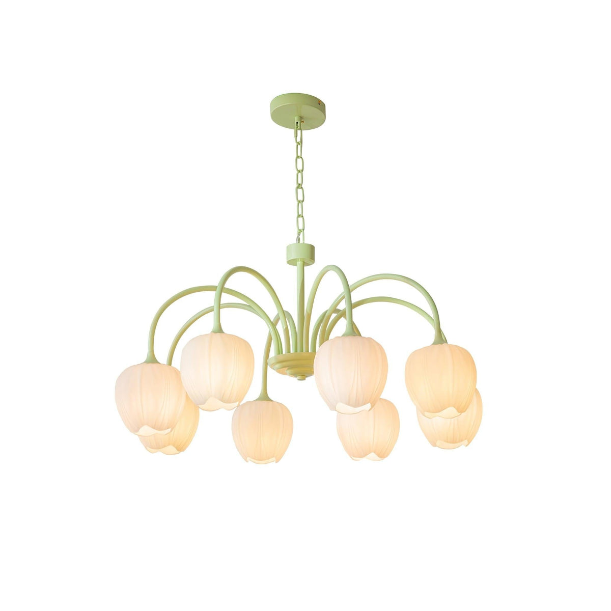 Tulip Matcha Glass Chandelier