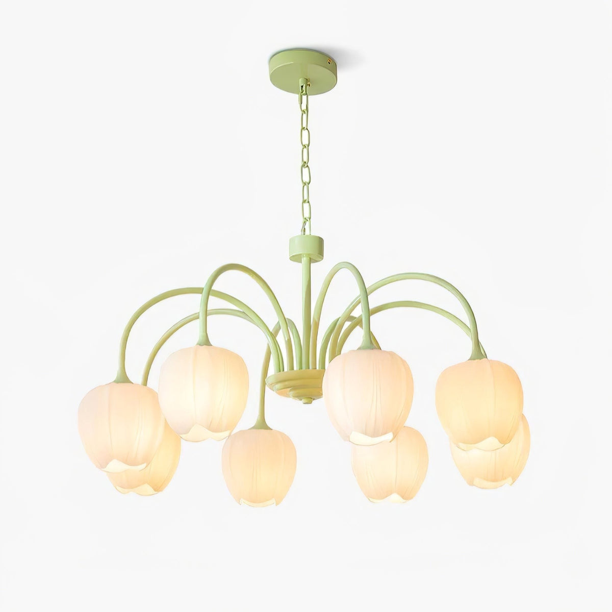 Tulip Matcha Glass Chandelier