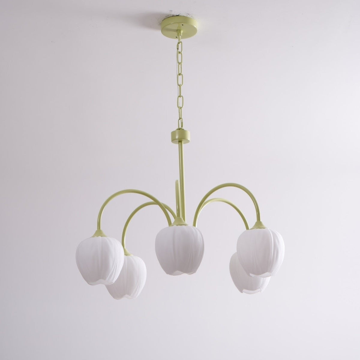 Tulip Matcha Glass Chandelier