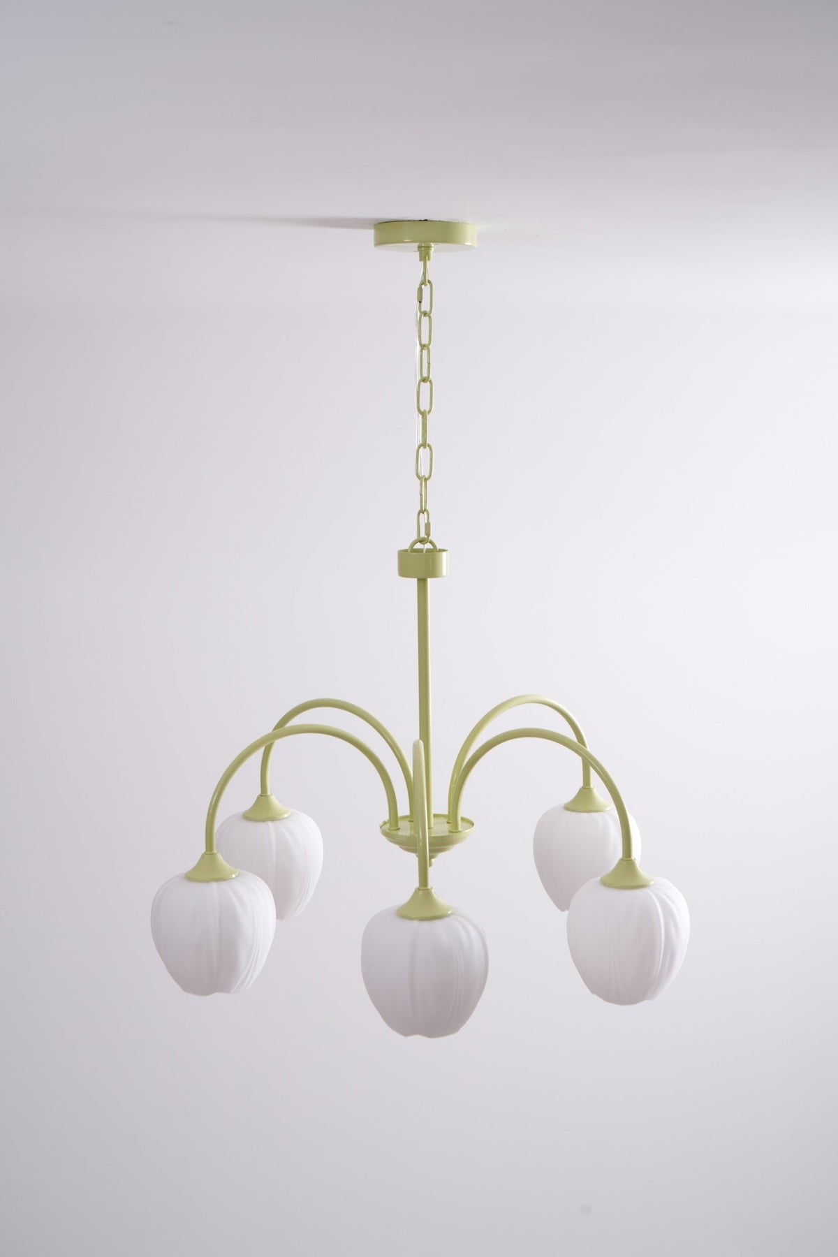 Tulip Matcha Glass Chandelier