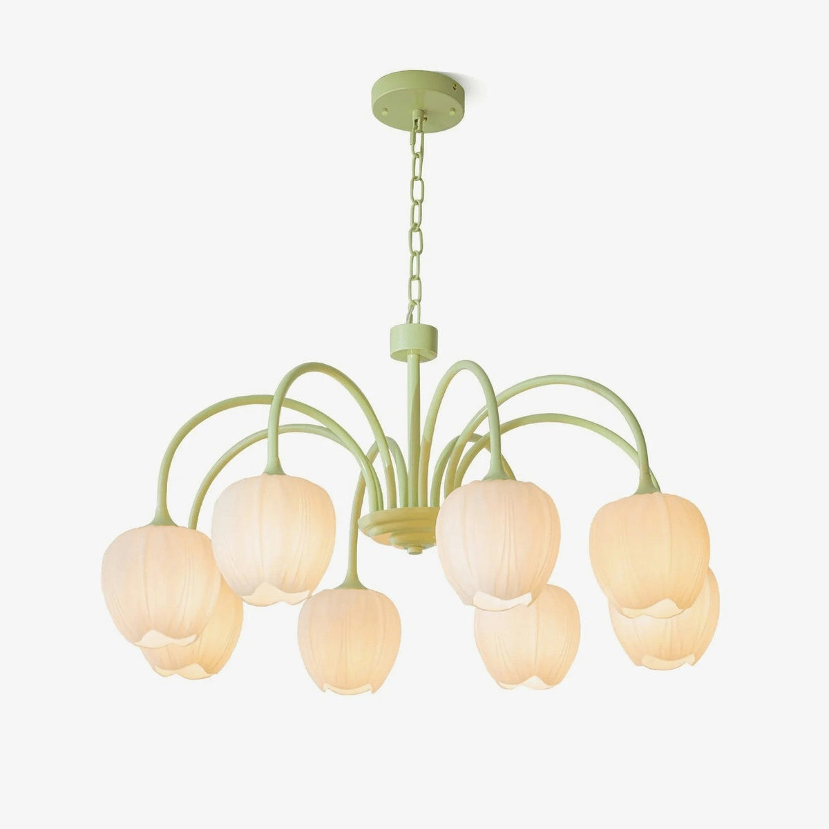 Tulip Matcha Glass Chandelier